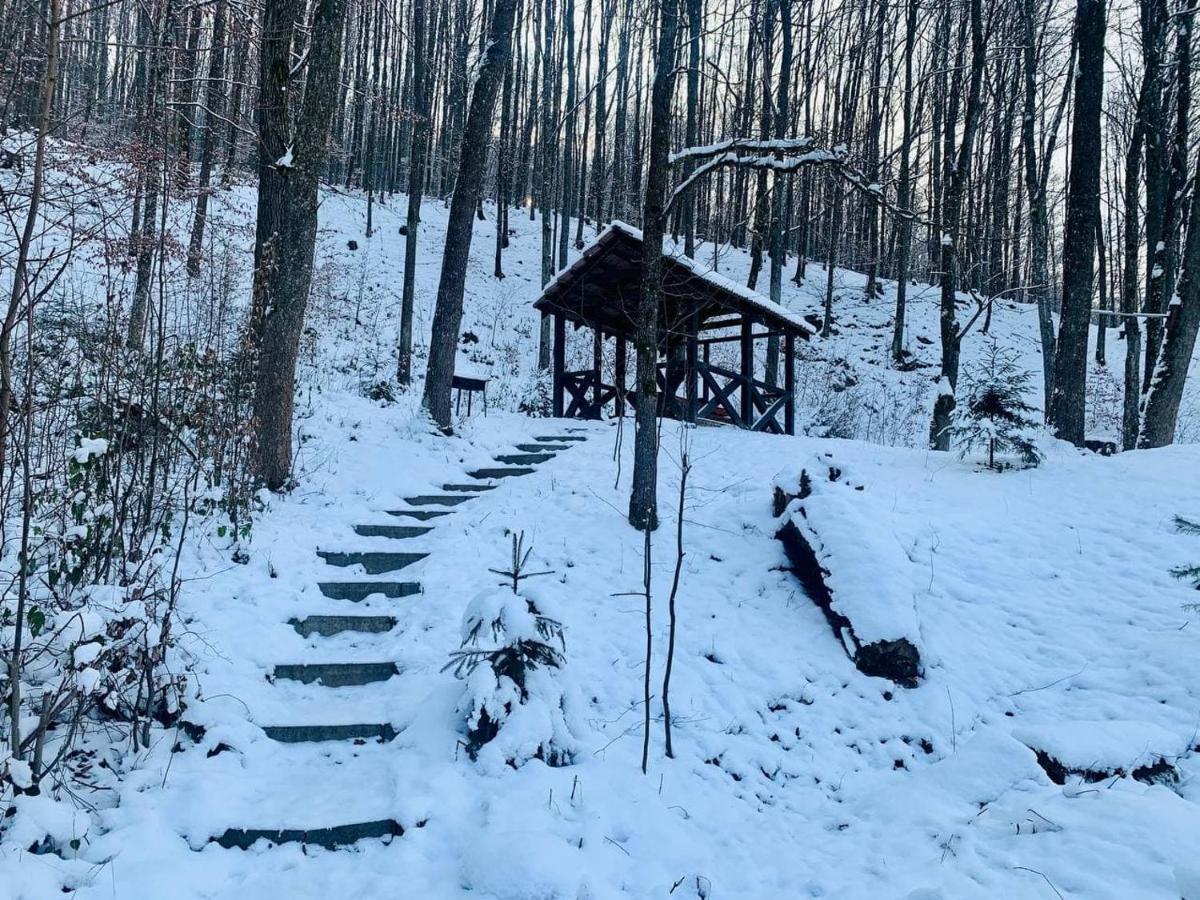 Chalet Vedmezhe ポリアナ エクステリア 写真