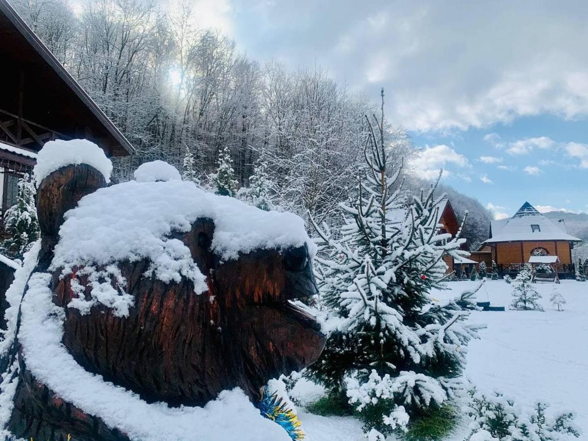 Chalet Vedmezhe ポリアナ エクステリア 写真